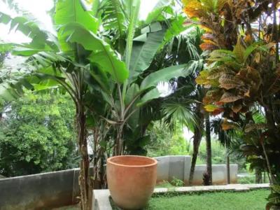 Chalets Bougainville - 134