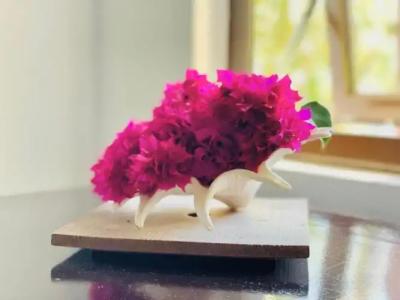 Chalets Bougainville - 46