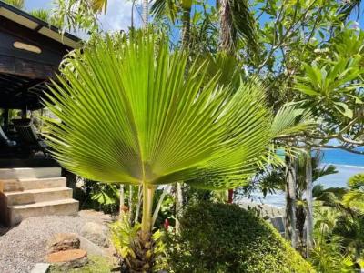 Chalets Bougainville - 28