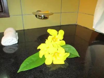 Chalets Bougainville - 102