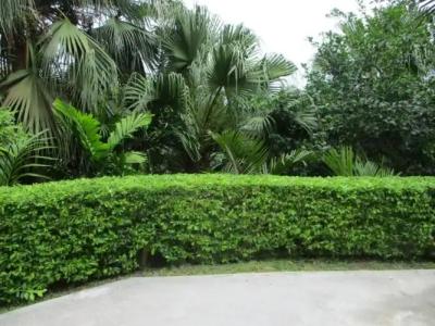 Chalets Bougainville - 123