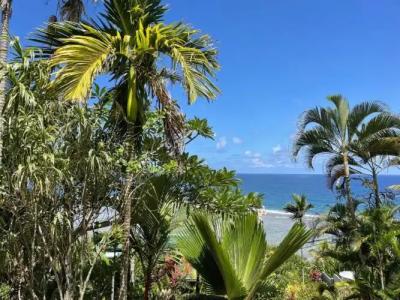 Chalets Bougainville - 63