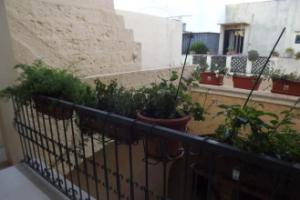 Corte Fiorita, Casarano