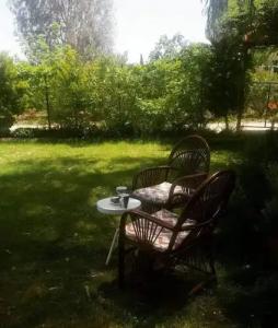 Nostalgia World - 23