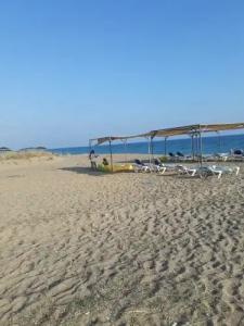 Nostalgia World - 13