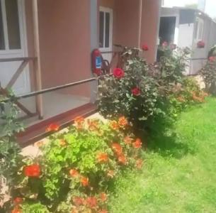 Nostalgia World - 16