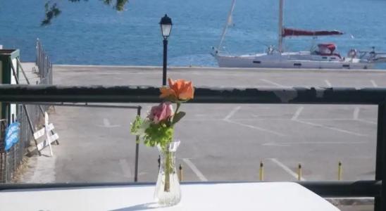 Oskars Studios & Apartments - 10