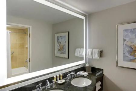 Gaylord Palms Resort & Convention Center - 58