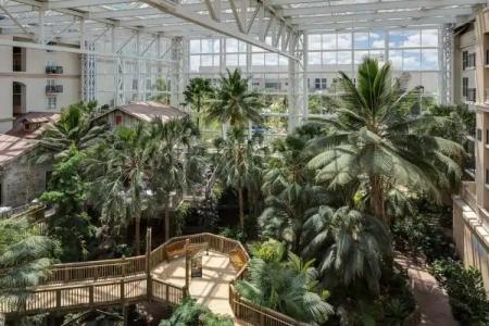 Gaylord Palms Resort & Convention Center - 57
