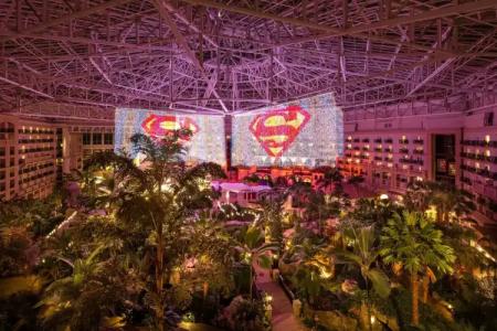 Gaylord Palms Resort & Convention Center - 40