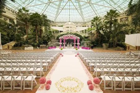 Gaylord Palms Resort & Convention Center - 27