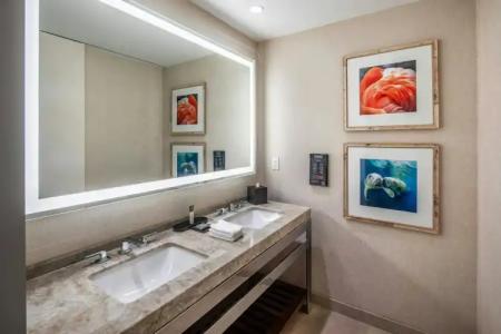 Gaylord Palms Resort & Convention Center - 9