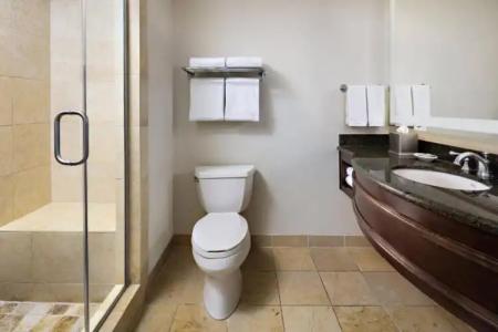 Gaylord Palms Resort & Convention Center - 72