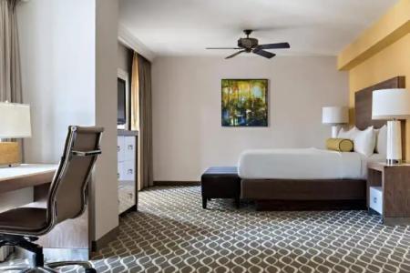 Gaylord Palms Resort & Convention Center - 79