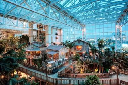 Gaylord Palms Resort & Convention Center - 28