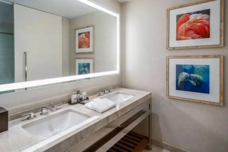 Gaylord Palms Resort & Convention Center - 7