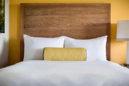 Gaylord Palms Resort & Convention Center - 52