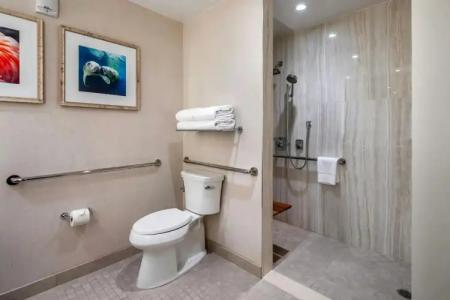 Gaylord Palms Resort & Convention Center - 8