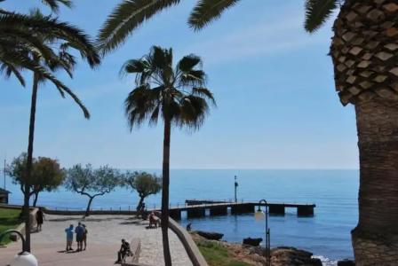 Apartamentos Alborada - 63