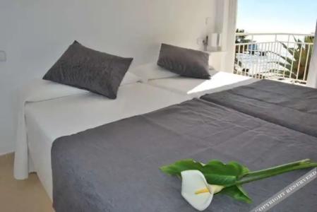 Apartamentos Alborada - 43