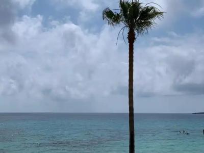 Apartamentos Alborada - 14