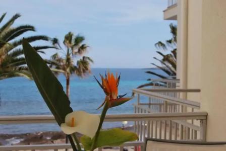 Apartamentos Alborada - 66