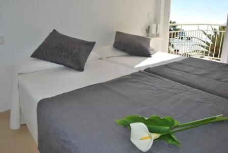 Apartamentos Alborada - 2