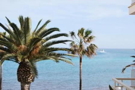 Apartamentos Alborada - 59