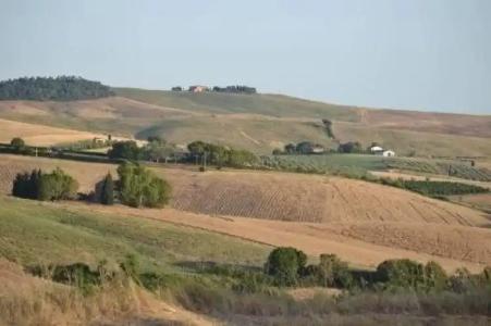 Casale I Macchiaioli - 1