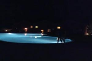 Guest Rooms Wild Duck, Carapcea