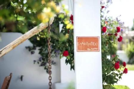 Anemonisia Skyrian Living - 47