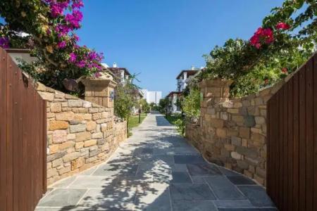 Anemonisia Skyrian Living - 31