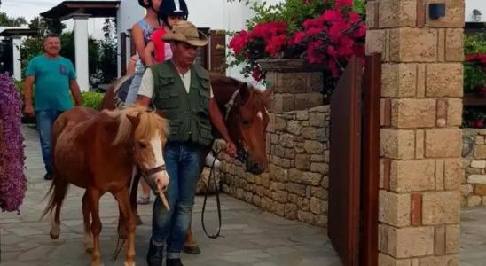 Anemonisia Skyrian Living - 26