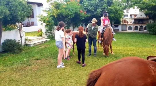 Anemonisia Skyrian Living - 62