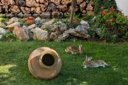 Anemonisia Skyrian Living - 51