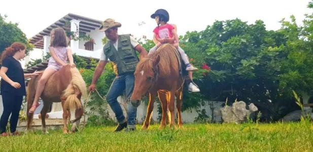 Anemonisia Skyrian Living - 63