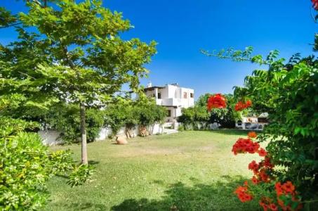 Anemonisia Skyrian Living - 59