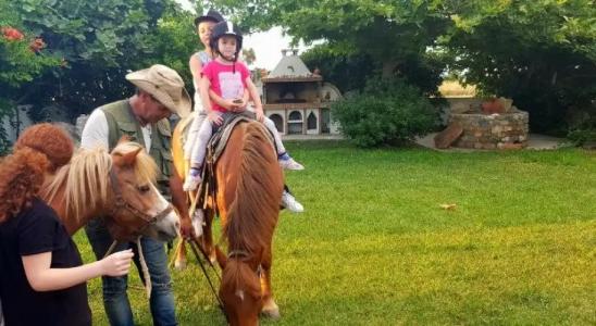 Anemonisia Skyrian Living - 23