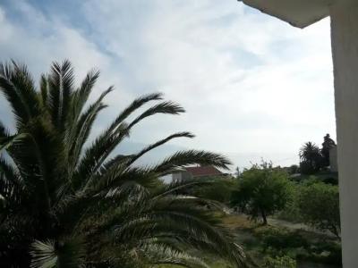 Guest House Lidus - 10