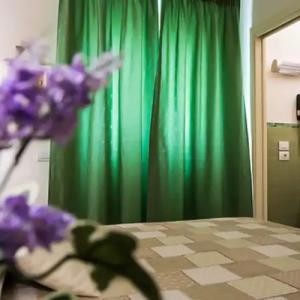 Il Giglio Verde - 5