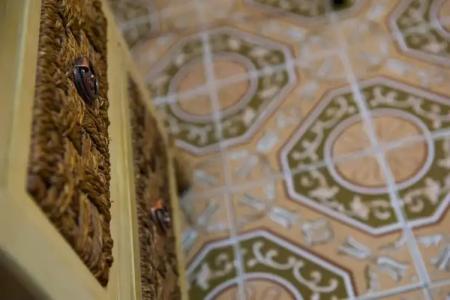 Villa Clementine - 12