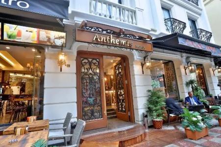 Anthemis - 0