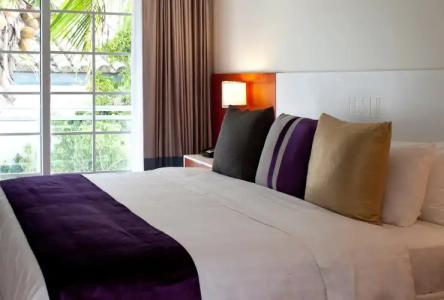 Leslie Ocean Drive - 16