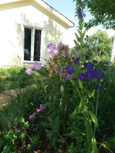 Holiday Home Prodol - 48