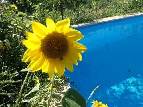 Holiday Home Prodol - 29