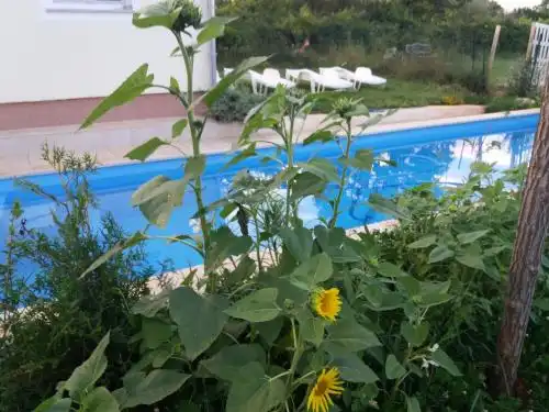 Holiday Home Prodol - 19