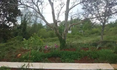 Holiday Home Prodol - 78