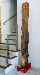 La Quercia e l'Asino - 11