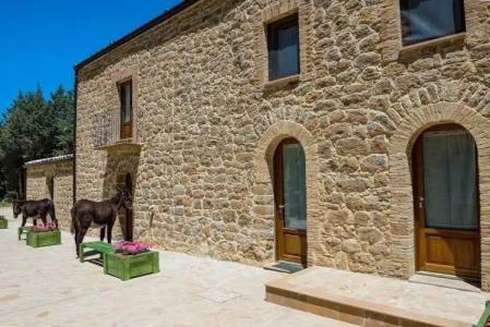 La Quercia e l'Asino - 16