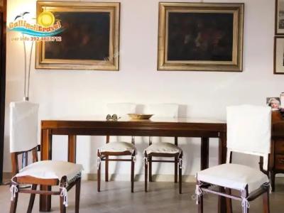 Rosa Virginia 15 - 169